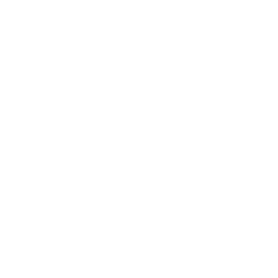 Bullseye Icon
