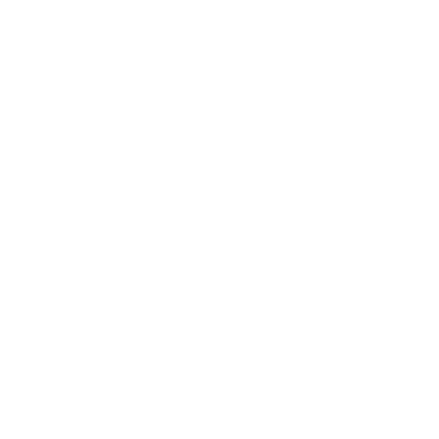 Wallet Icon