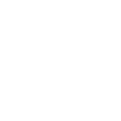 Bullseye Icon