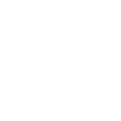 Bullseye Icon